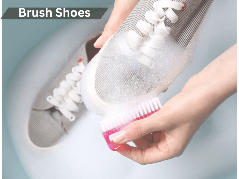 brush the shoes