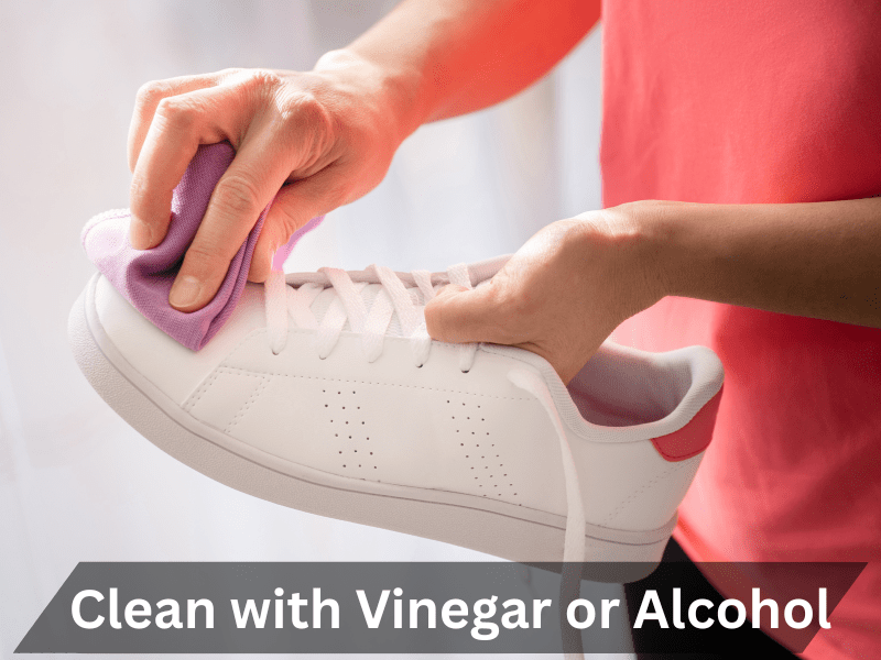 Clean with vinegar and Alcohal
